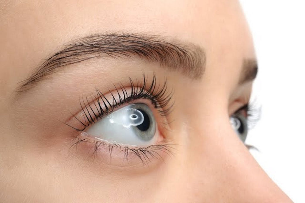 LashBotox