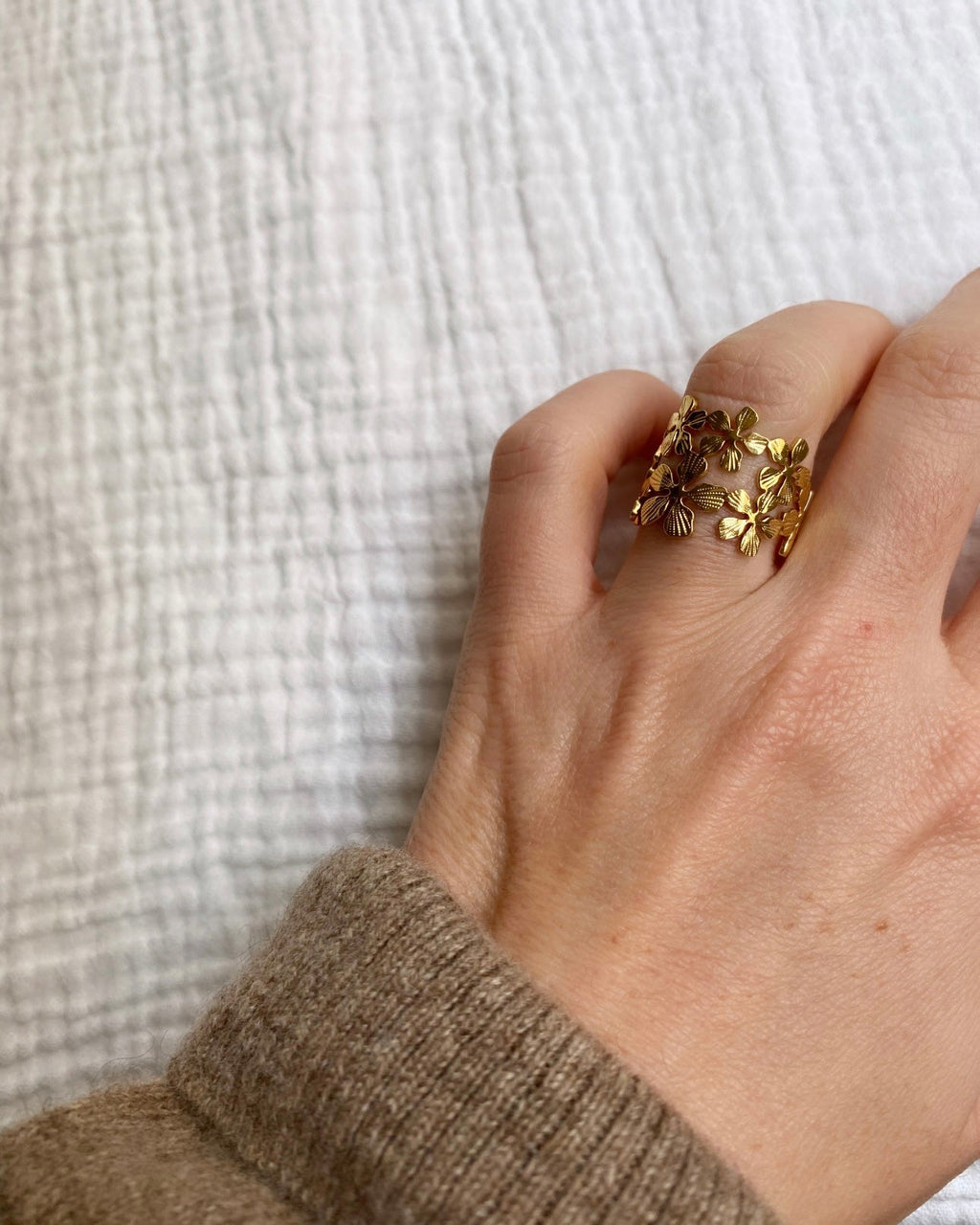 Anillo Domitia