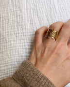 Anillo Domitia