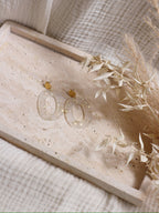 Sparkling Earrings