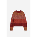 Pull Col Rond Fausto - Multicolore