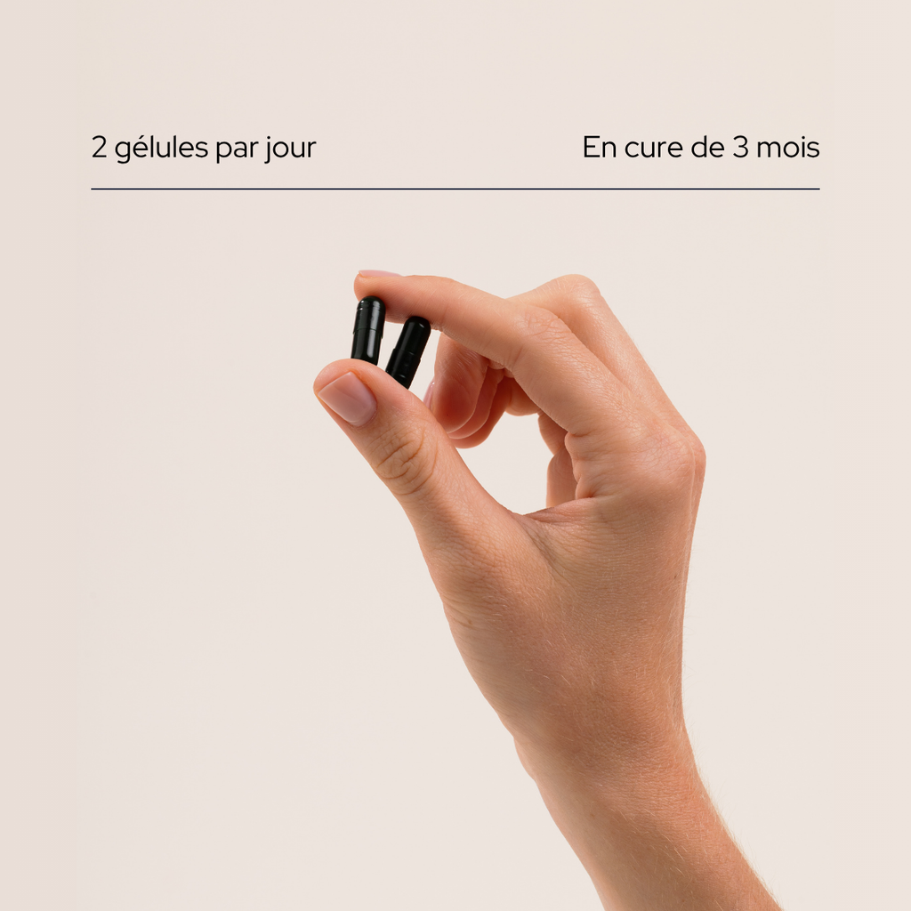 Cure Mémoire & Concentration
