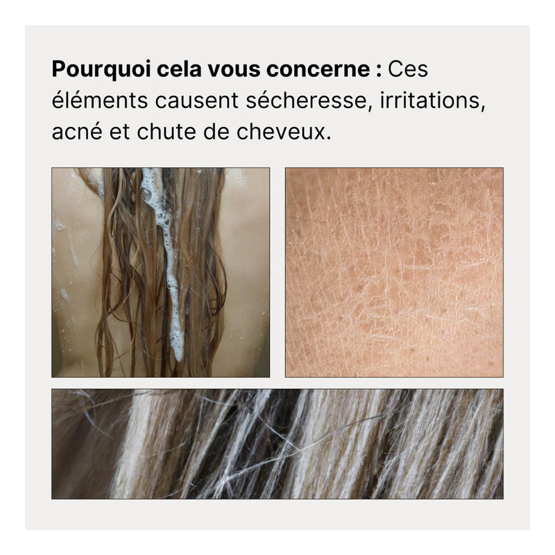 Pommeau de Douche Filtrant + 1 Filtre (2 mois de filtration)