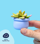 Foam Dough Collectibles: Buds & Blooms - Succulent