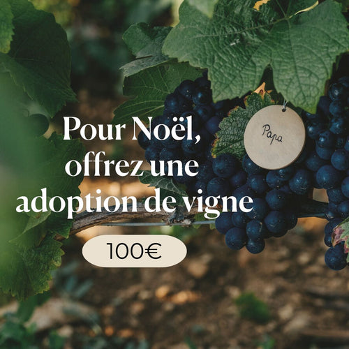 Adoption De Vigne - 100€