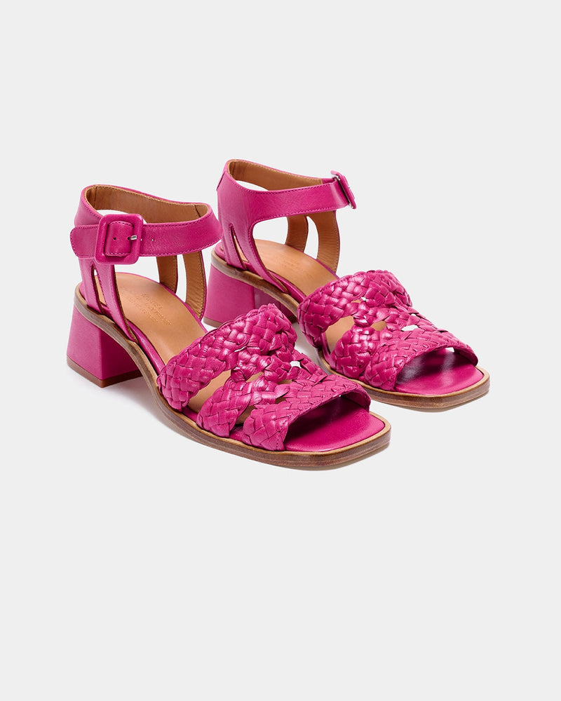 Fred Fucsia