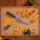 Hashi Tsuchime Collection - Complete Set of 5 knives