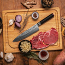 Gyuto 20 Cm - Collection Pakka Damas