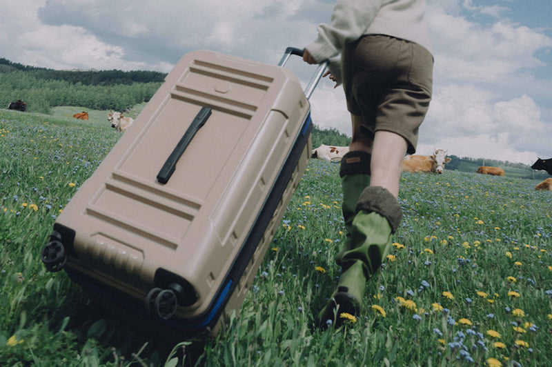 Image de la collection Delsey Paris