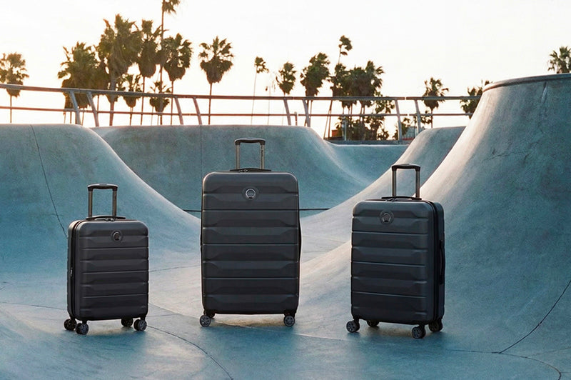 Image de la collection Delsey Paris