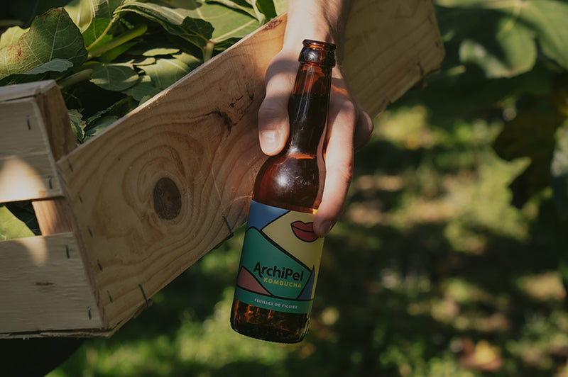 Image de la collection Archipel Kombucha