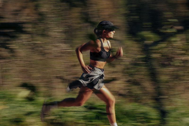 Image de la collection HASTKO