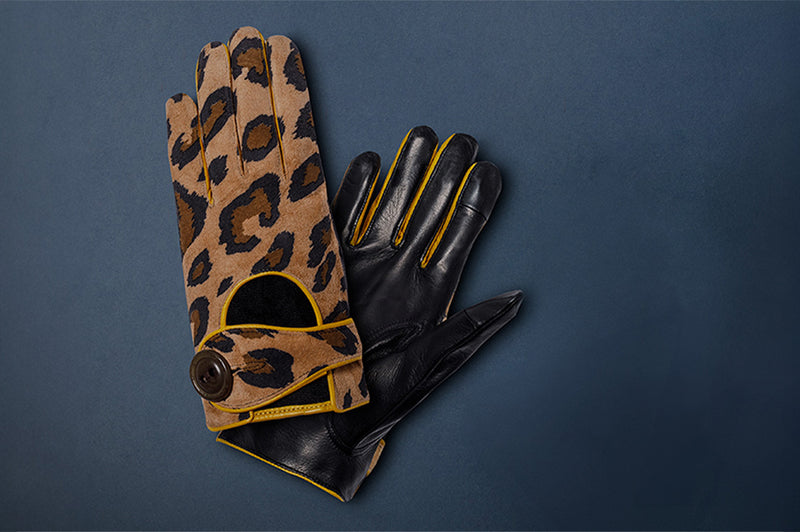 Image de la collection Maison Fabre