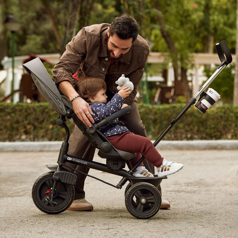 Aston 2 Plus Tricycle, Green
