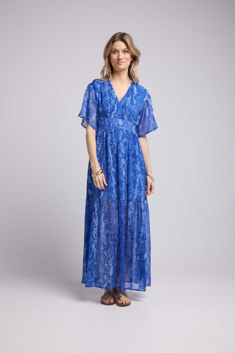 Robe Longue Manches Courtes - Serpent Bleu