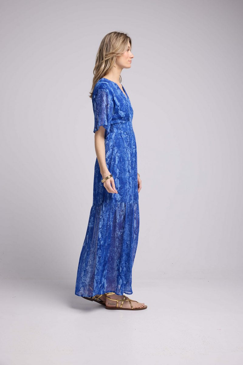 Robe Longue Manches Courtes - Serpent Bleu