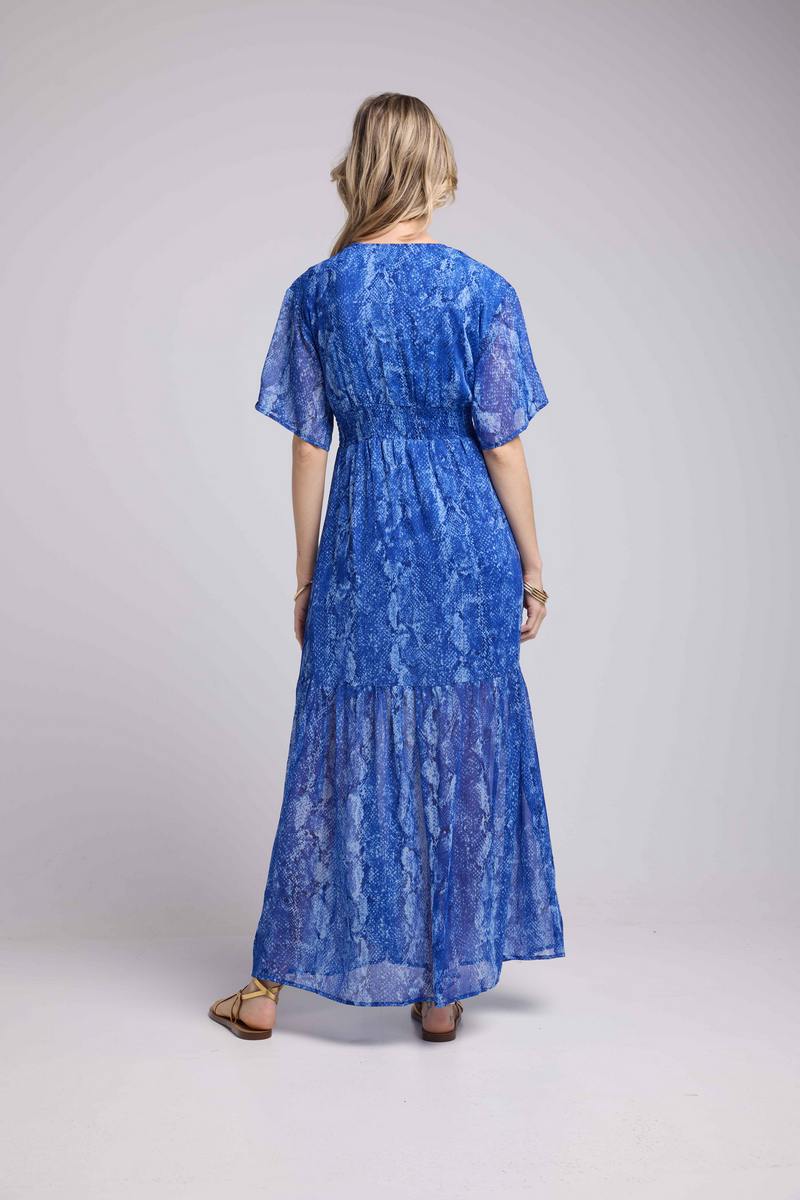 Robe Longue Manches Courtes - Serpent Bleu