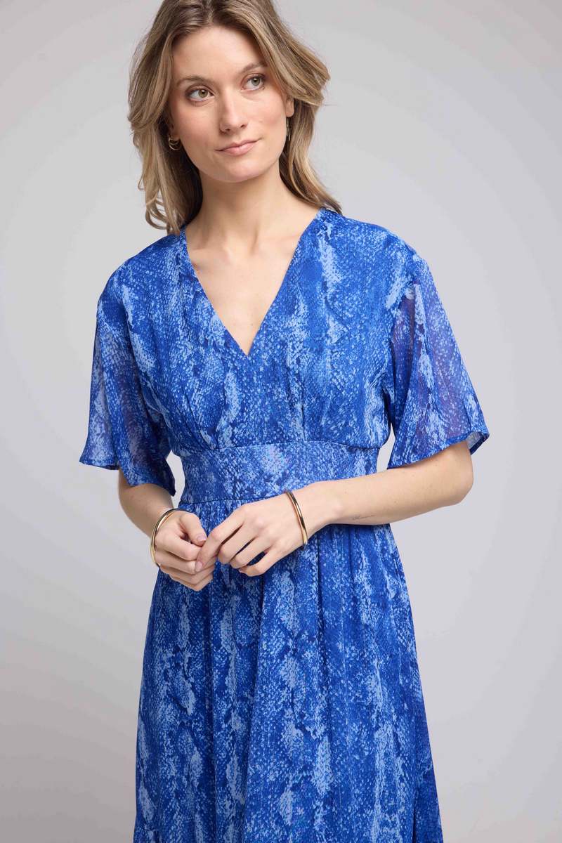 Robe Longue Manches Courtes - Serpent Bleu