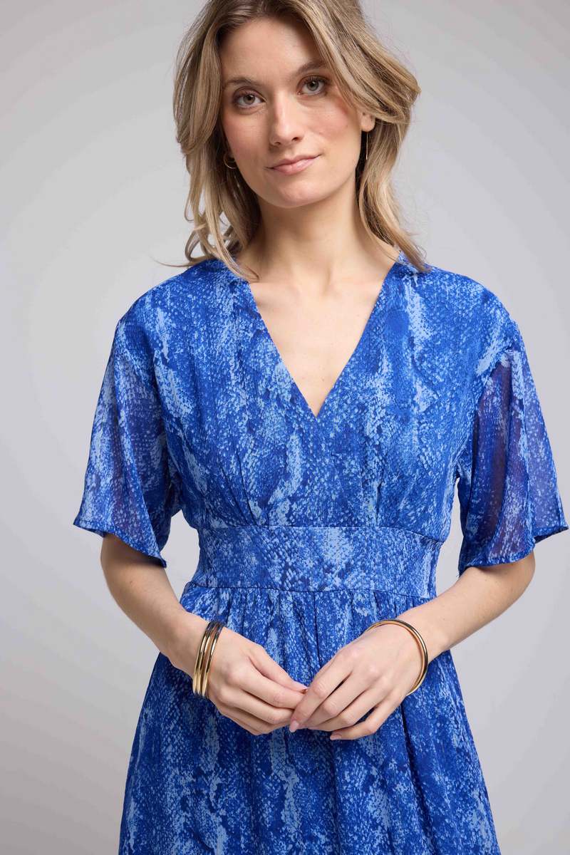 Robe Longue Manches Courtes - Serpent Bleu