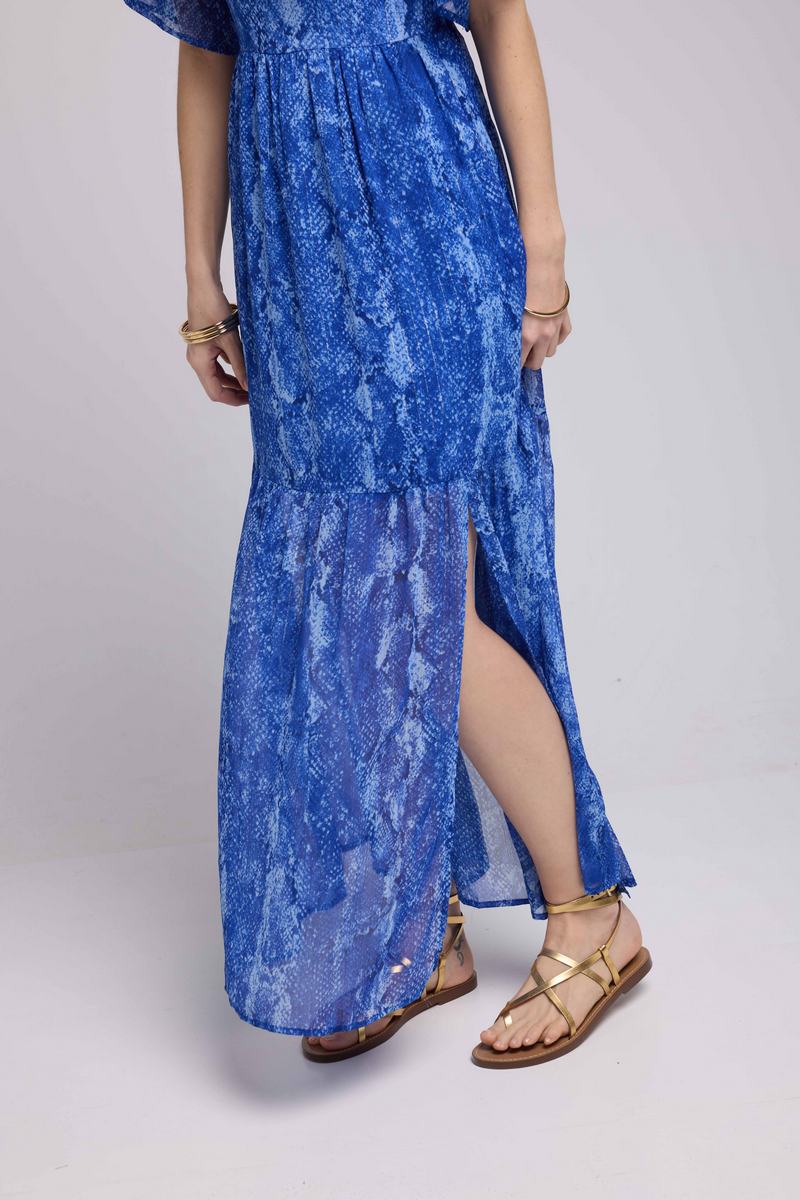 Robe Longue Manches Courtes - Serpent Bleu