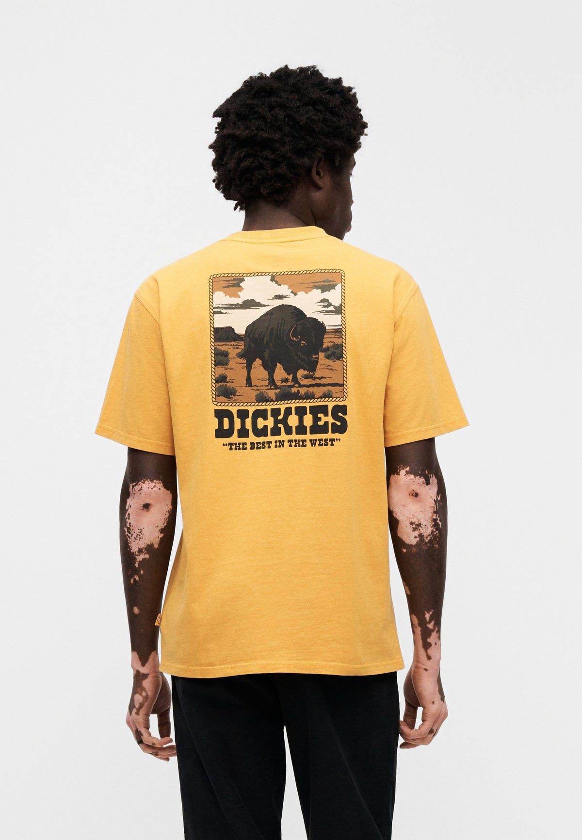 T-shirt a maniche corte Dickies Darrtown Sunflower - T-shirt a maniche corte - Sunflower