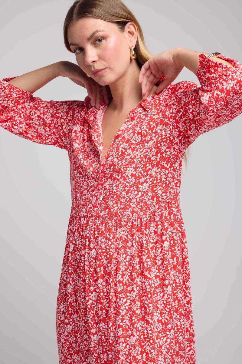 Long Sleeve Long Dress - Red Flowers