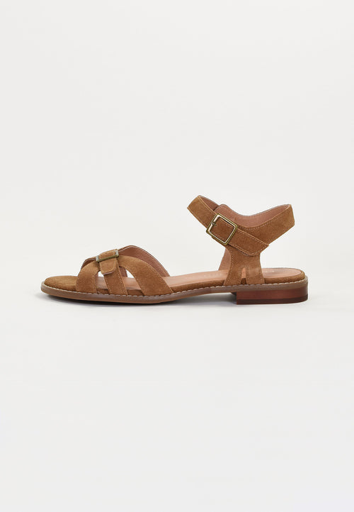 Sandalias Xane - Camel