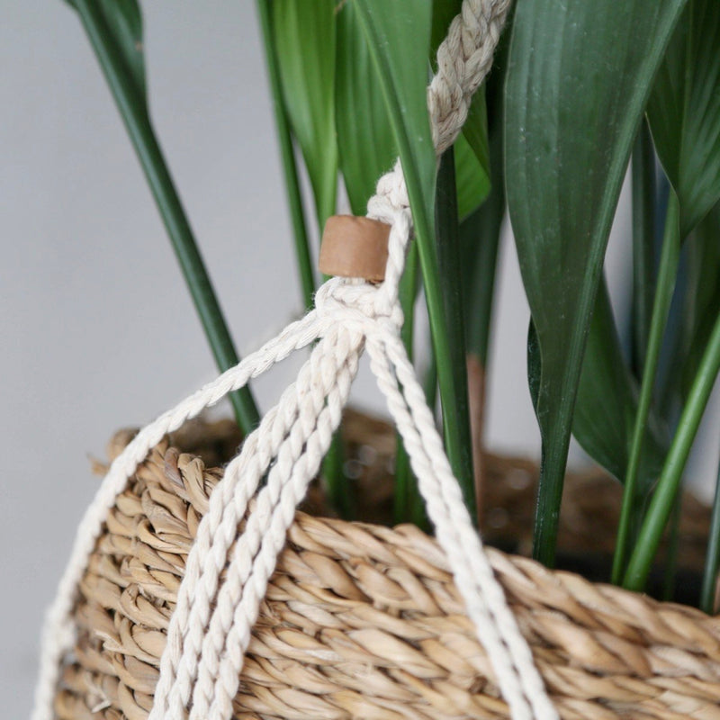 Panier Suspension Macramé Avec Porte Plantes En Algue Marine - Beige