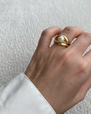anillo paquita