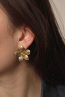 Boucles D'Oreilles Solene