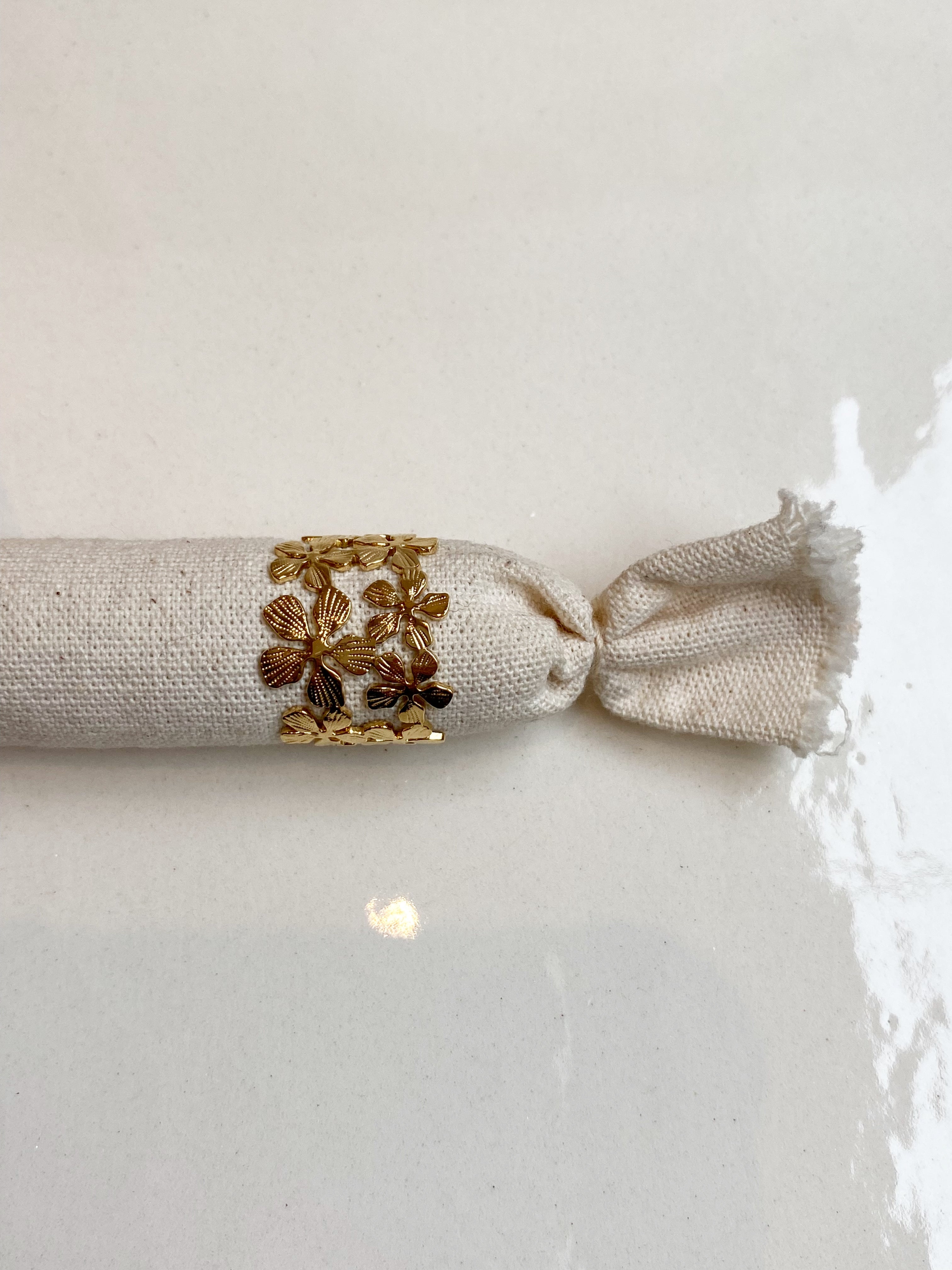 Anillo Domitia