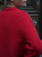 Stanislas Red Vest