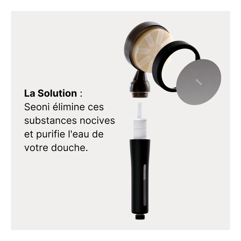 Pommeau de Douche Filtrant + 1 Filtre (2 mois de filtration)
