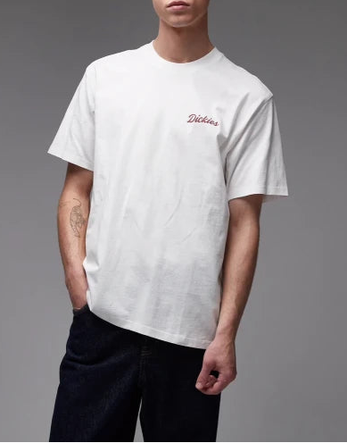 Dickies Wellsville Backprint T-Shirt In White - White