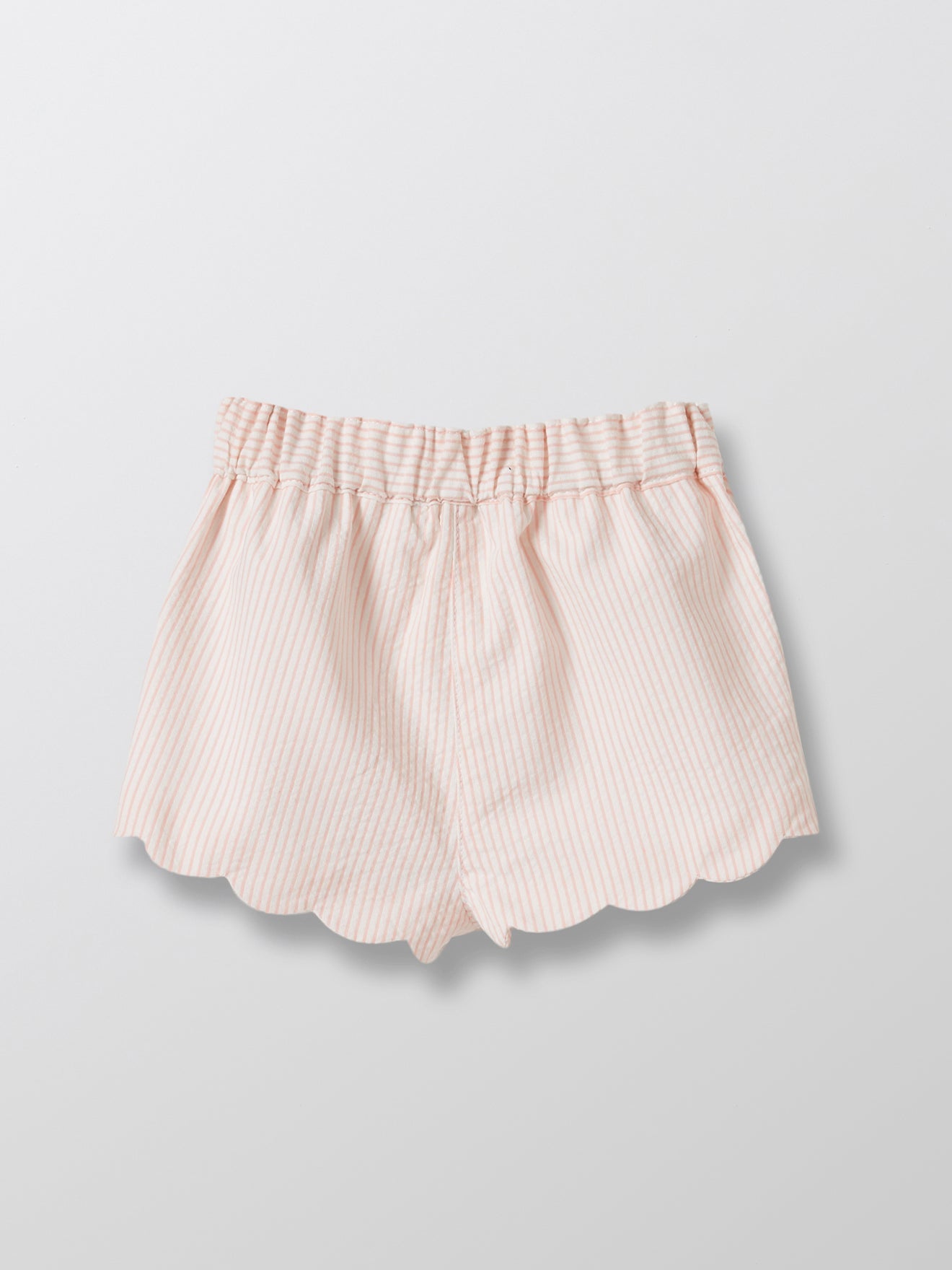 Short Coquille - Bleu Clair Raye - Bébé