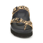 Brown Sandals - Women