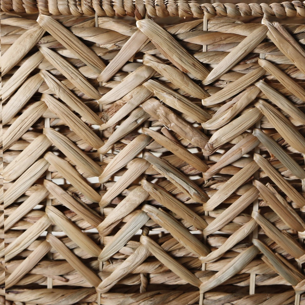 Cesta - Jacinto de agua