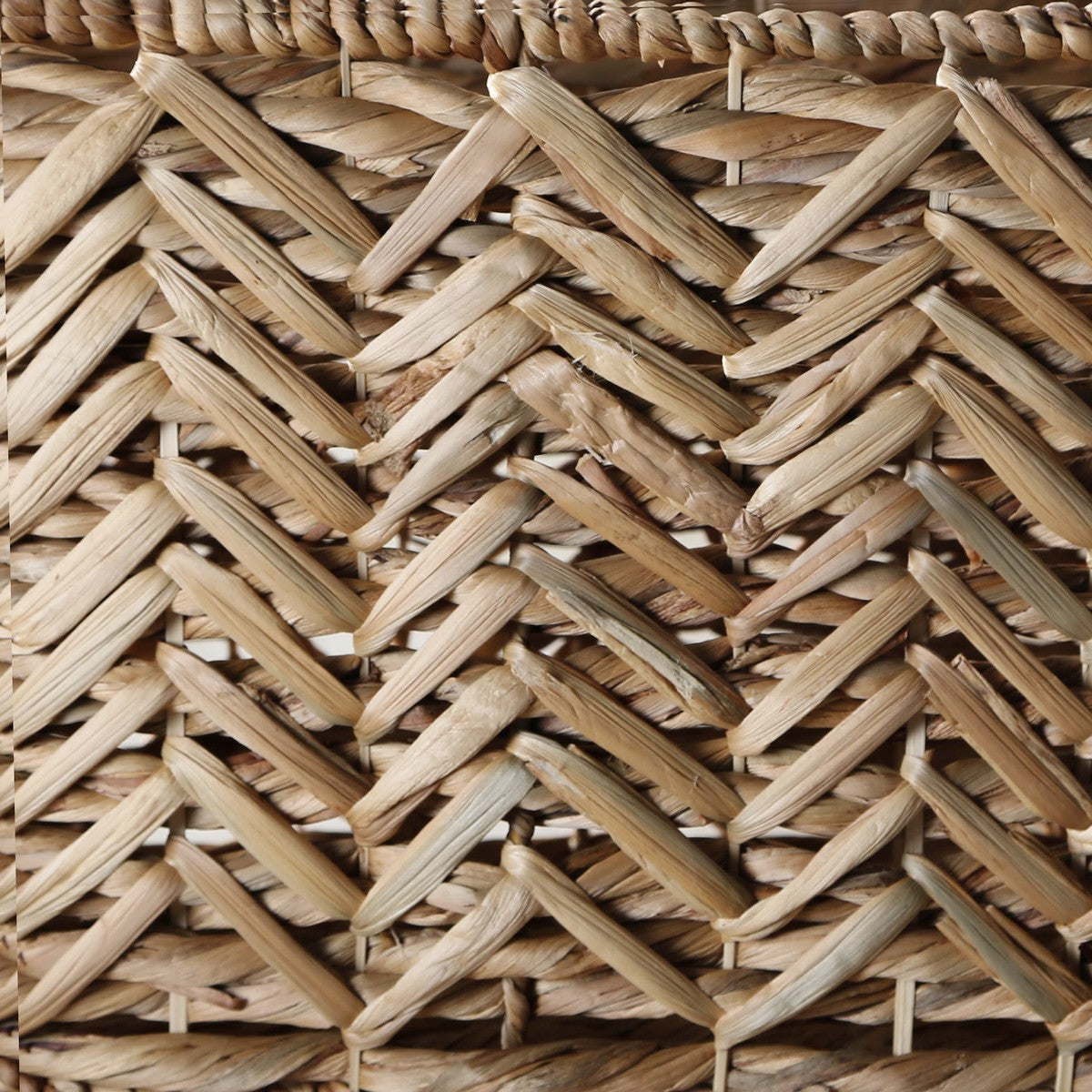 Cesta - Jacinto de agua