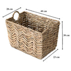 Cesta - Jacinto de agua