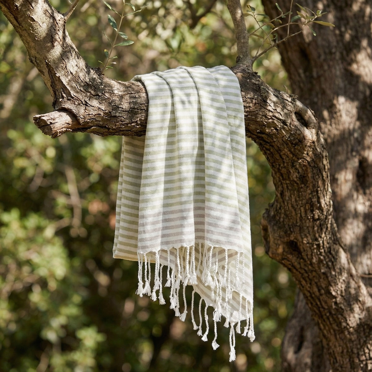 Fouta Pareo - Algodón - Verde Almendra / Taupe Claro - Bora Bora