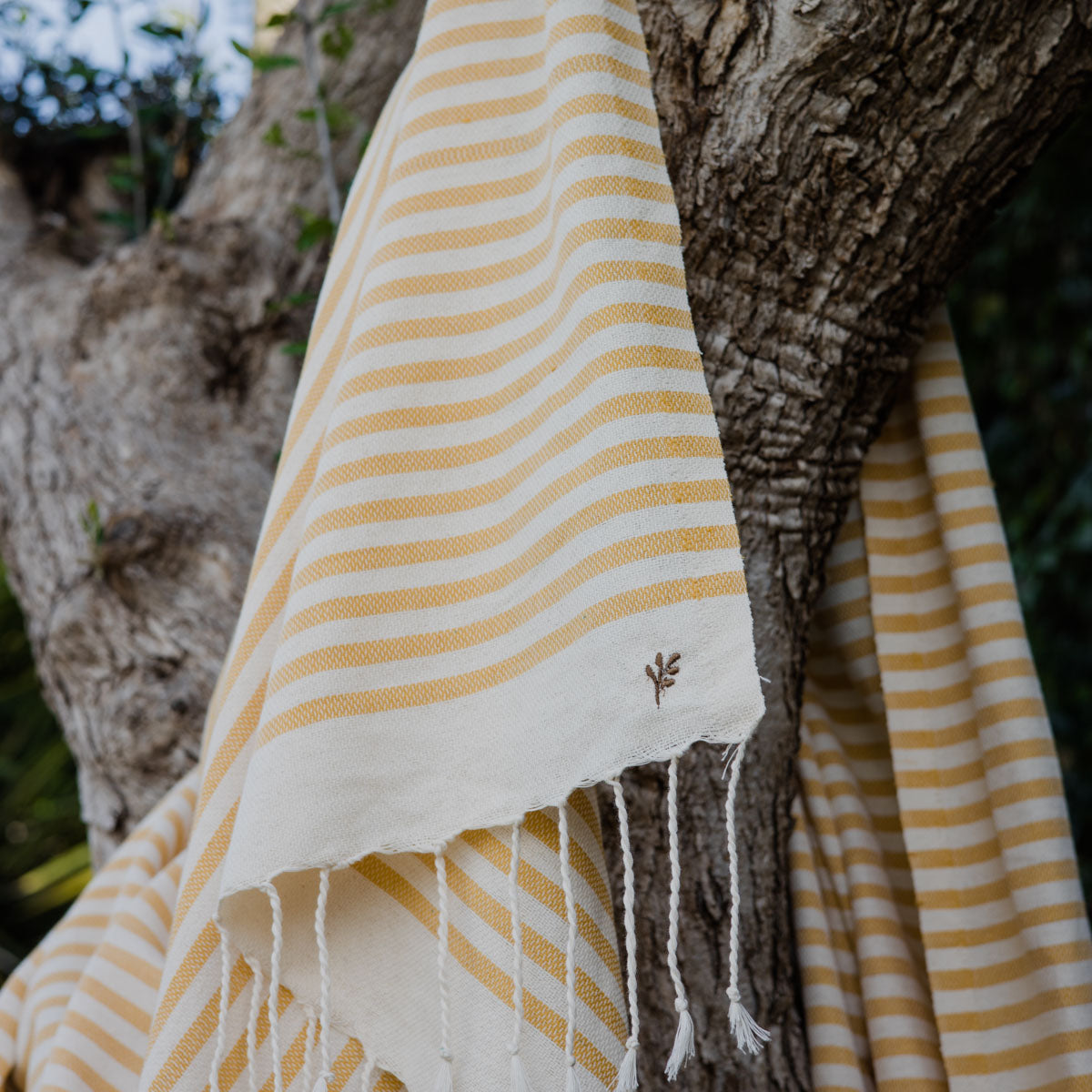 Pack de 2 Foutas XXL - Algodón - Amarillo Mostaza - Hossegor