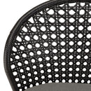 Malo - Lot De 2 Chaises Jardin - Acier/Rotin Synthétique/Tissu Polyester 100% - Noir/Gris