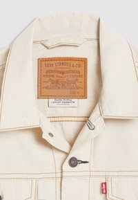 The Trucker - Denim Jacket - Longing For Summer Linen+ Denim