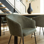 Ulysse - Dining Chair & Carver Chair - Black/Green