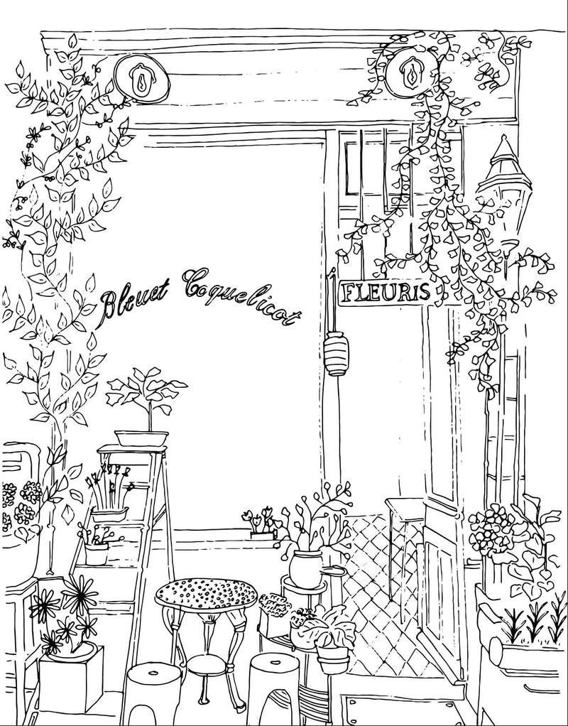 Fleurs : Carnet De Coloriage - Zoé De Las Cases