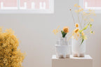 Basin S - Vase - Ceramic - White