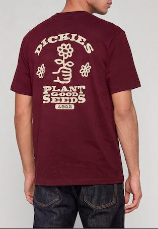T-shirt Buoni semi - Bordeaux - Uomo