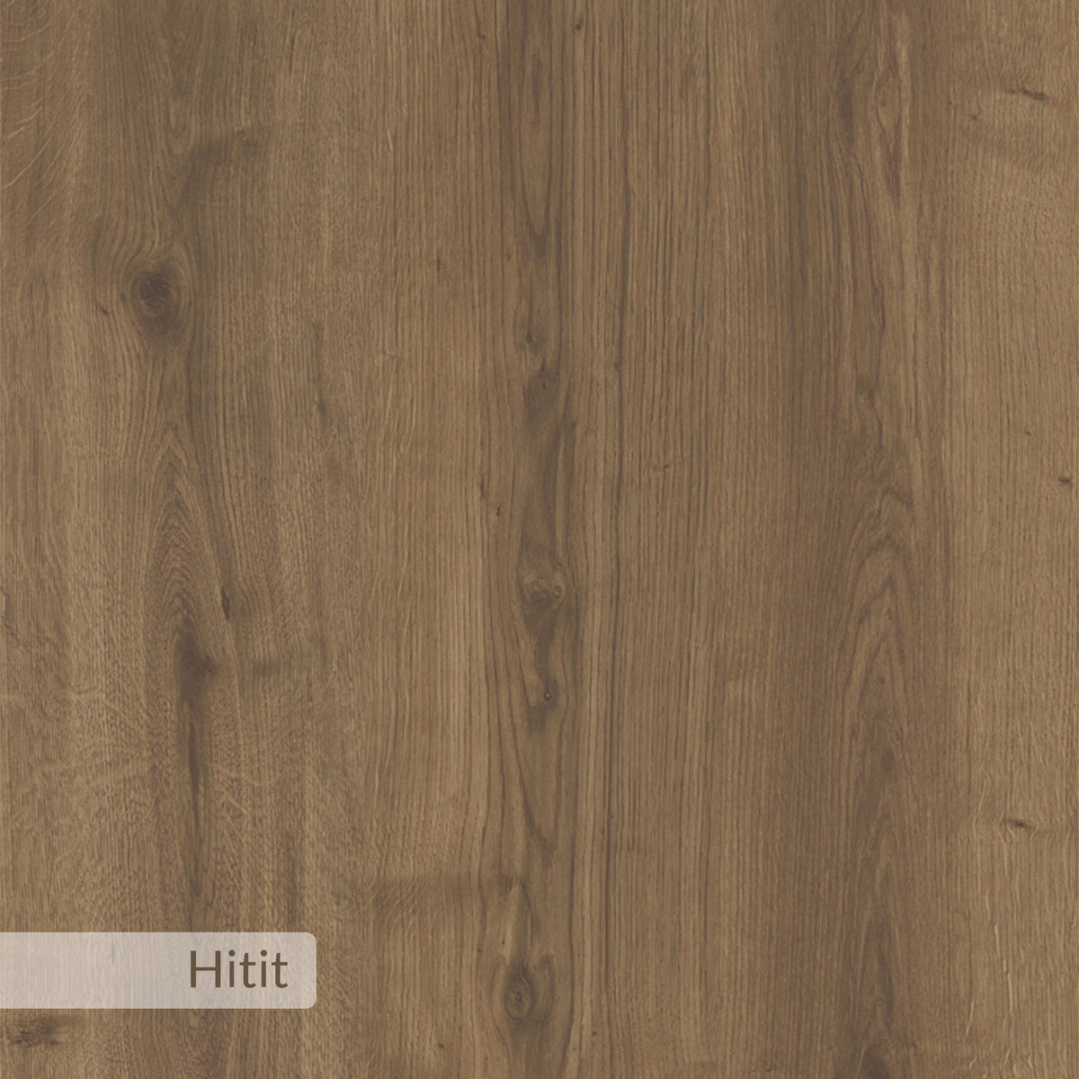 Dude - Shoe Cabinet - Hitit