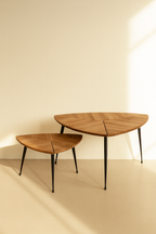 Cobra - Set De 2 Tables Gigognes - Fibre De Bois - Naturel
