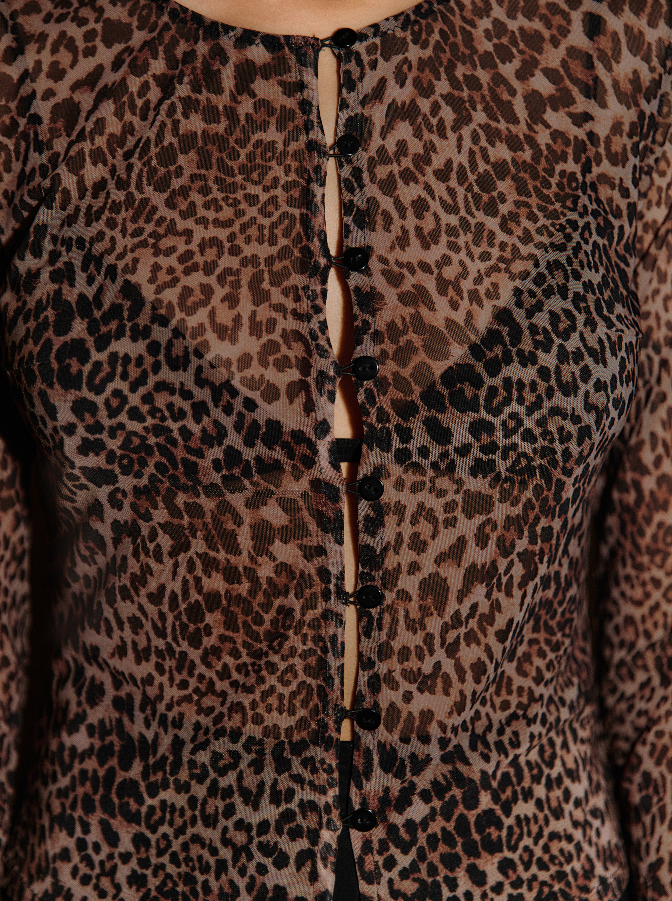 Leo puro superior